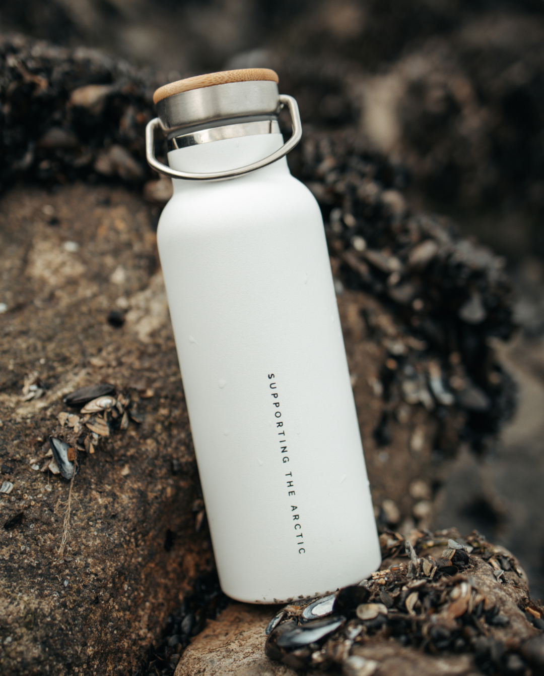 ARCTIC BOTTLE – Gourde isotherme inox & bambou éco-responsable